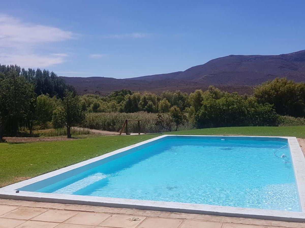 Vrisch Gewagt Boutique Self-Catering Olive Farm Pensionat Prince Albert Eksteriør billede