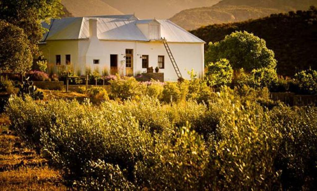 Vrisch Gewagt Boutique Self-Catering Olive Farm Pensionat Prince Albert Eksteriør billede