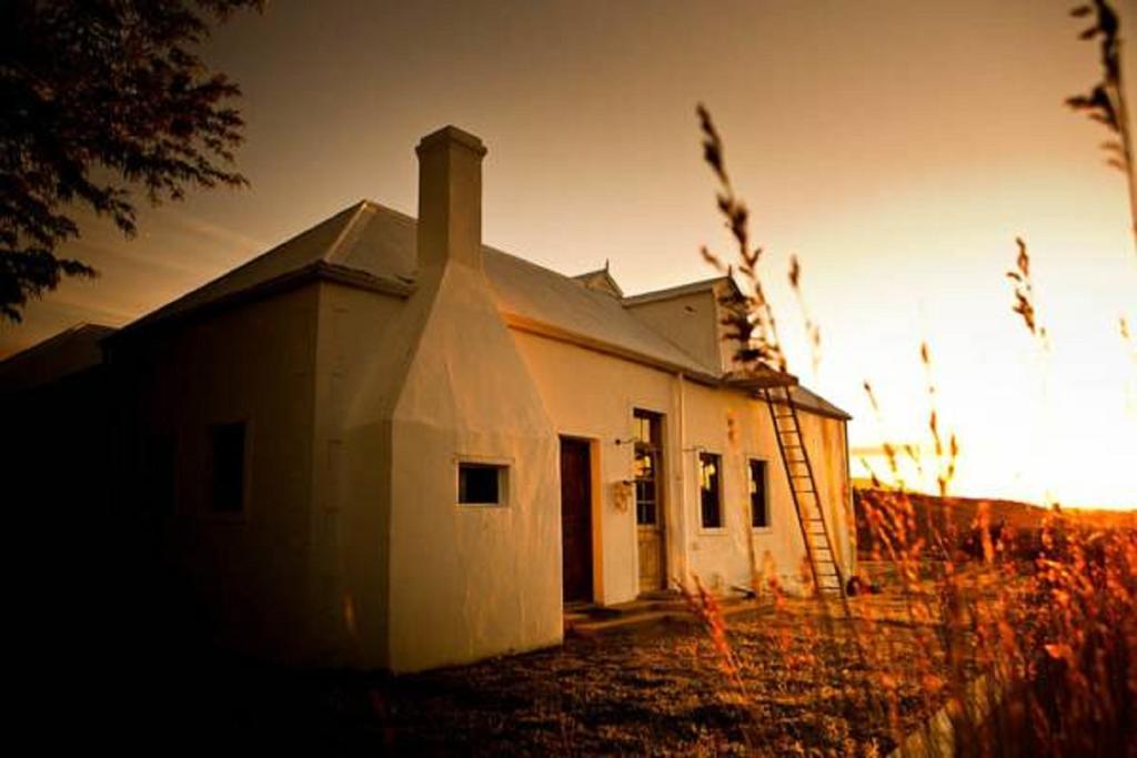 Vrisch Gewagt Boutique Self-Catering Olive Farm Pensionat Prince Albert Eksteriør billede