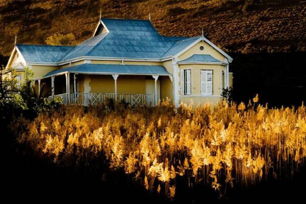Vrisch Gewagt Boutique Self-Catering Olive Farm Pensionat Prince Albert Eksteriør billede