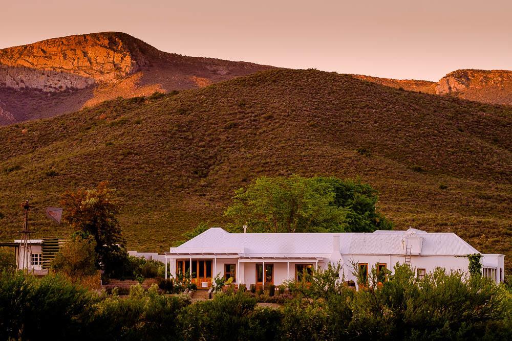 Vrisch Gewagt Boutique Self-Catering Olive Farm Pensionat Prince Albert Eksteriør billede
